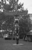 totem pole