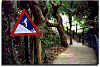 malaysian_signs2