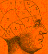 brain_small.gif (4068 bytes)