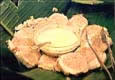 [Chicken Galantina]
