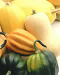 [Vegetable & Salad]