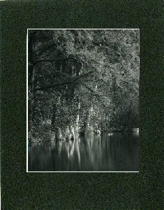 picture of Medina River