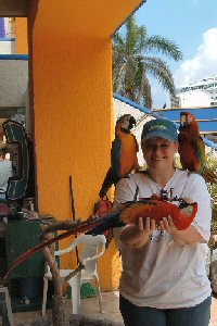 cropped picture of Elizabeth with parrots
