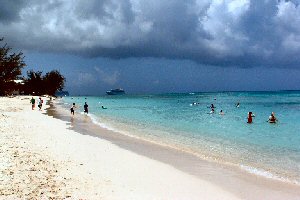 cropped picture of beach