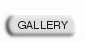 Gallery Virtuelle