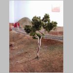Tree.JPG