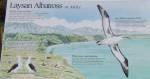 Albatroos placard