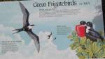 Placard on Frigate Birds
