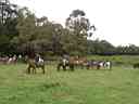 b11Gathering.jpg