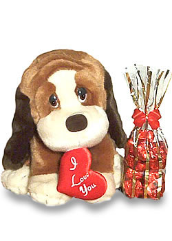 Baxter Gift Set