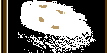 your brain processing alphabet