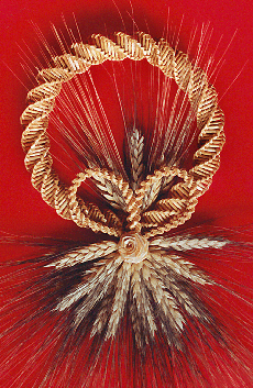 wreath