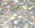 Clear Water