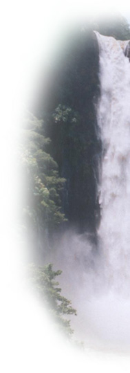 MCristinaFallsWeb1.jpg (24417 bytes)
