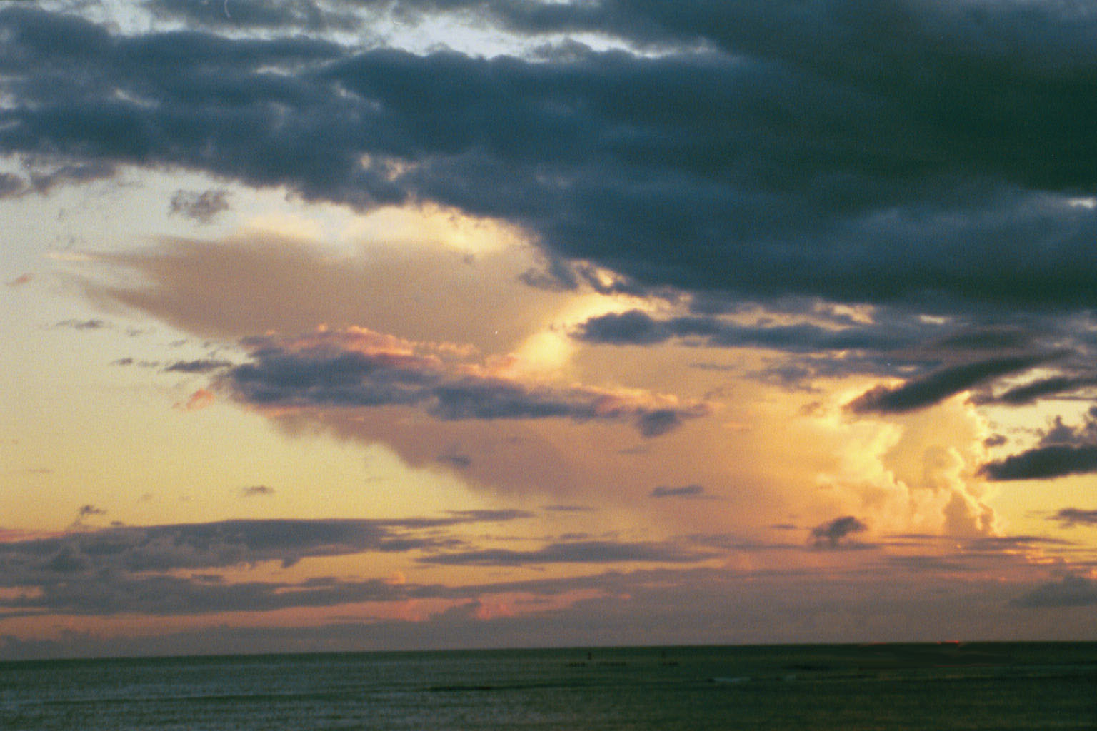 Click here to enter Paradise