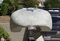 Euro Rear View