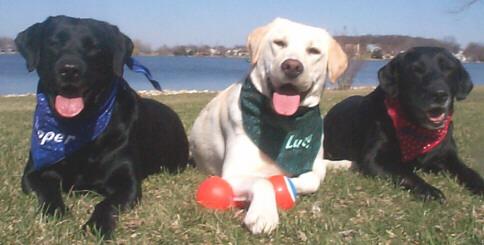 Lucy and friends