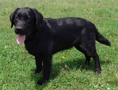Youngster from Grace and Brewster