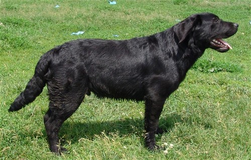 Youngster from Grace and Brewster
