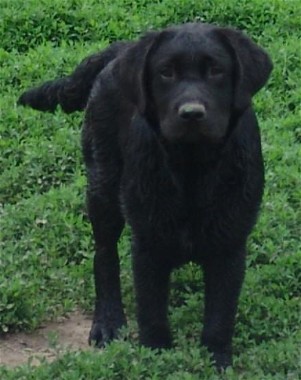Youngster from Grace and Brewster