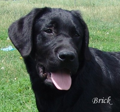 Youngster from Grace and Brewster
