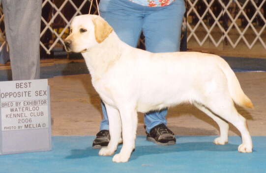 Clair - 16 months of age