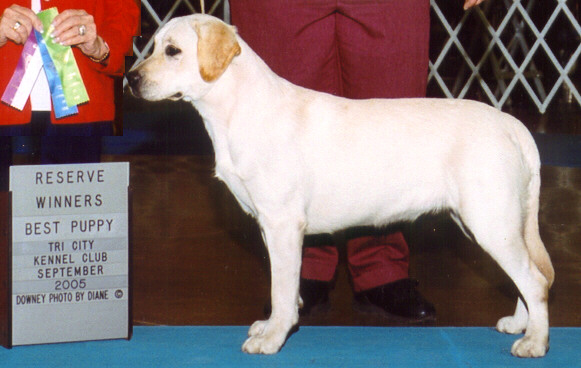 Clair - 10 months of age