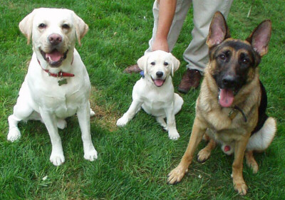 Mac,Bella & friend