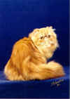jonesy3.jpg (24461 bytes)