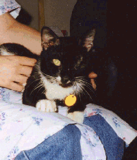[Frankie