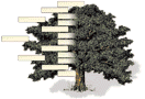 genealogy tree gif