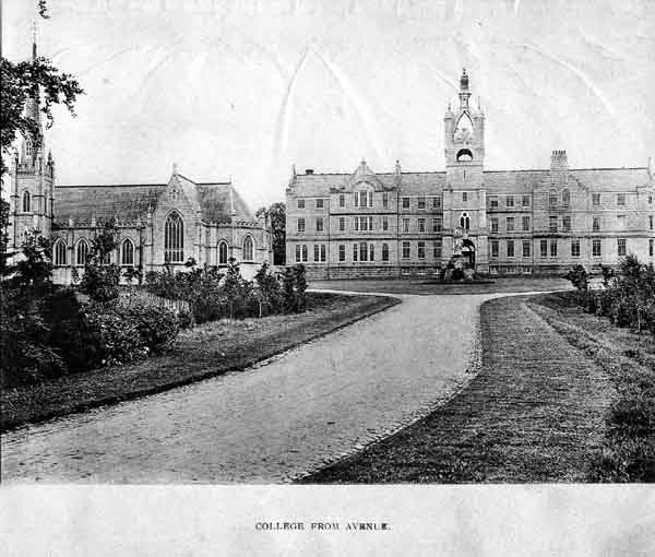 College from avenue