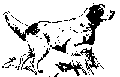 Flush.gif (701 bytes)