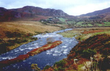 panaramic view