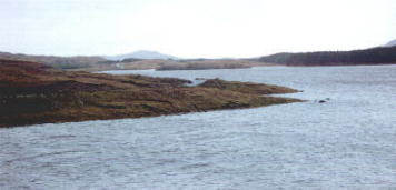 panaramic view