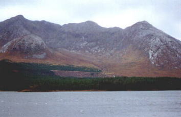panaramic view