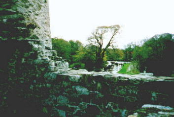 Ross Castle