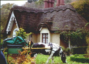 A thatched house