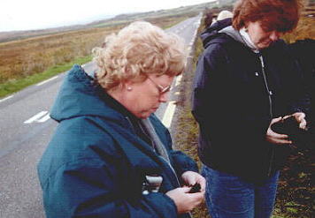 examining turf