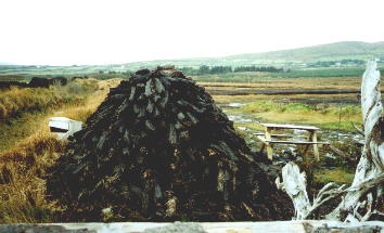 a closeup of a turf mound