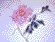 Seal Script