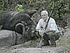 Buffalo