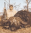 Buffalo