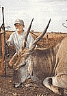 Eland