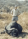 Buffalo