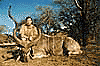Kudu
