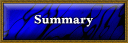 Summary