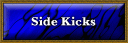The Art of Side Kicks