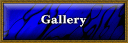 Sparring Gallery