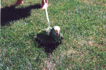 This is me in the grass